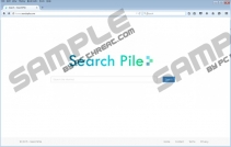 Home.SearchPile.com