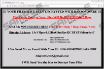 Ranion 1.08 Ransomware