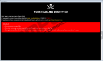 HCK Ransomware