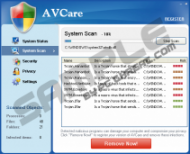 AV Care